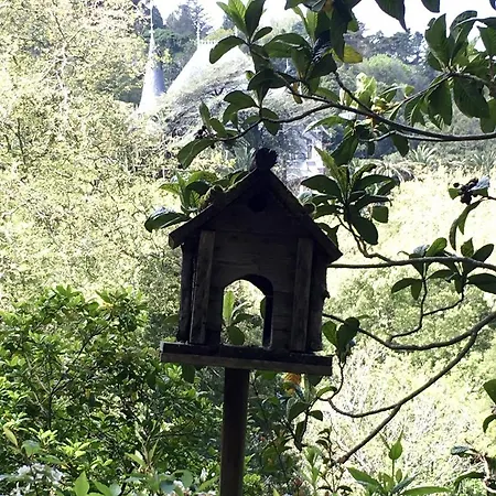Nyaraló Casa Da Capela Sintra